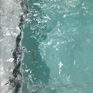 Meet your Posher, Keith